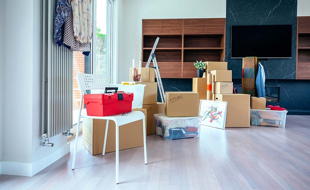Junk Removal